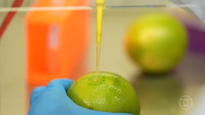 Ciência brasileira desenvolve biodetergente revolucionário para prolongar vida útil de alimentos