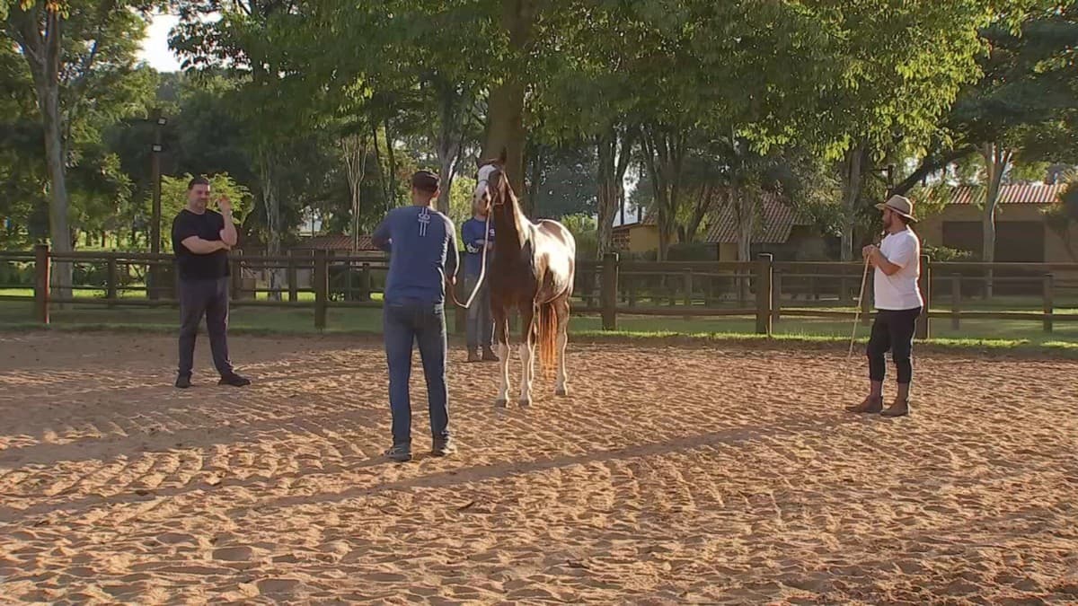 Expo Agro de Itapetininga consolida tradição e projeta recorde econômico para 2026