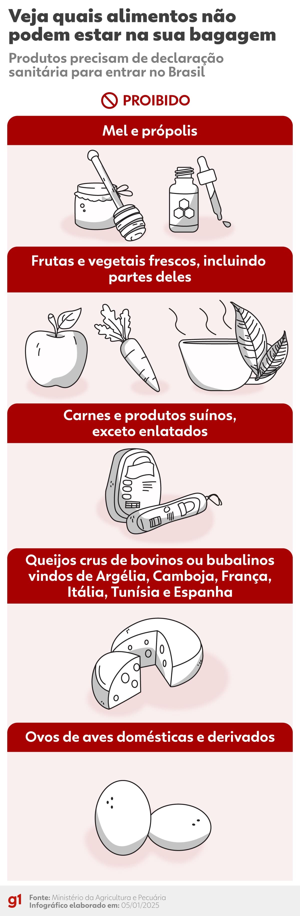 Viagens internacionais: Entenda as novas normas do Ministério da Agricultura para entrada de alimentos
