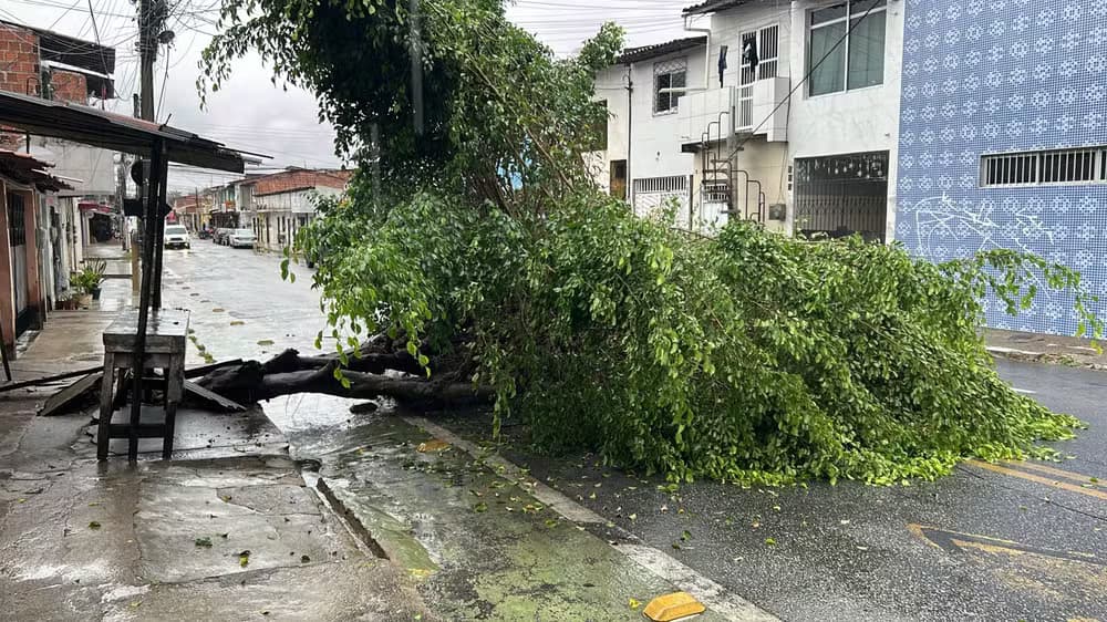 Fortes chuvas provocam alagamentos e transtornos na Grande Fortaleza