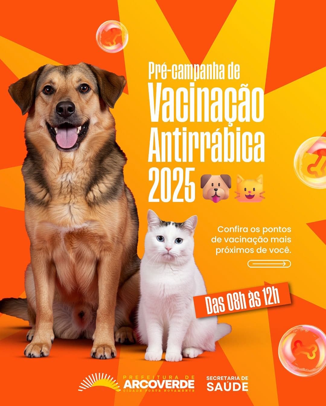 PROTEÇÃO ANIMAL: Pré-Campanha de Vacinação Antirrábica em Arcoverde Começa em Diversos Pontos da Cidade; Confira o Cronograma!