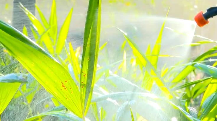Embrapa disponibiliza cartilha gratuita sobre o uso de biofertilizantes no campo