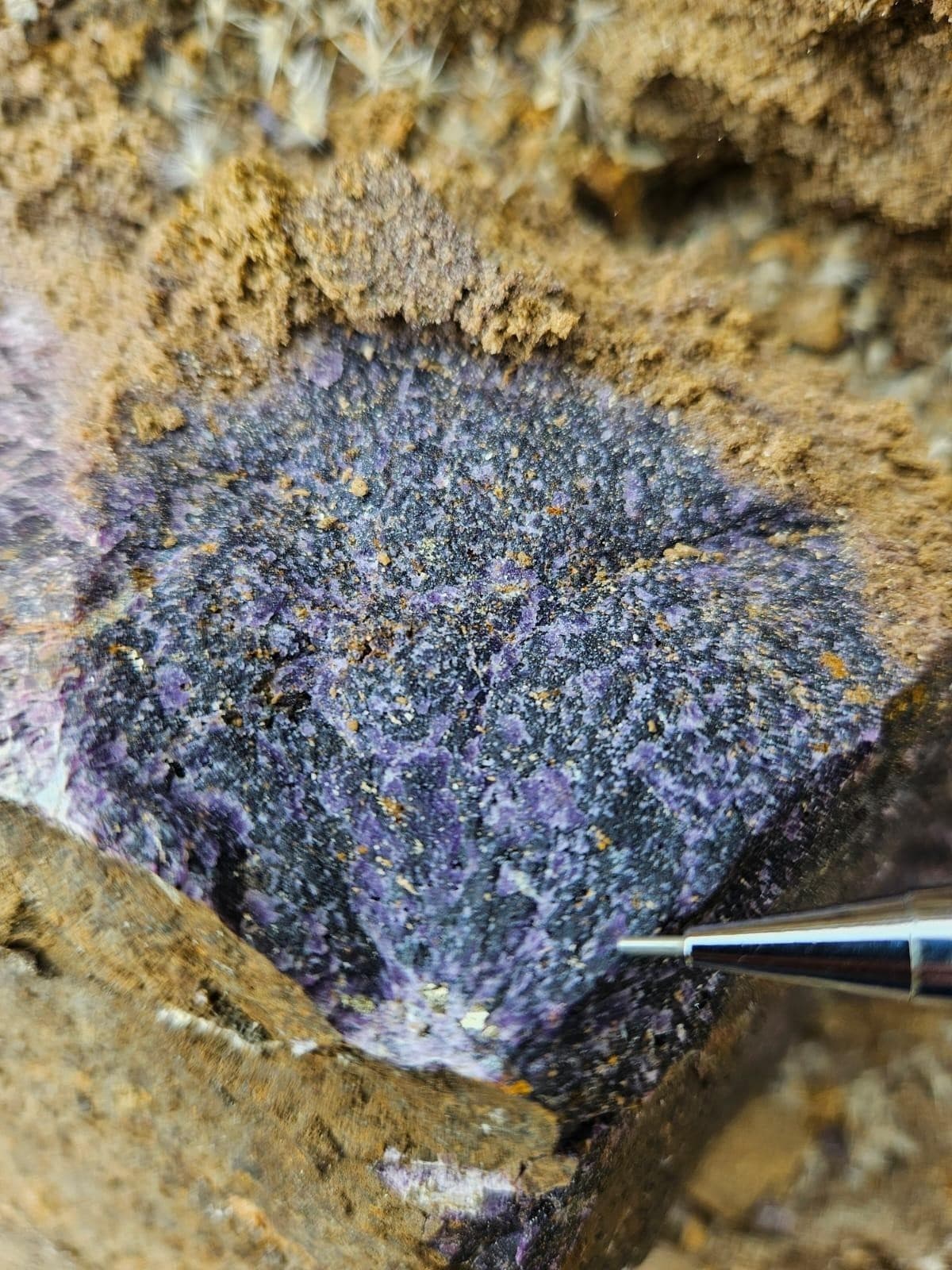 Brasil identifica alto potencial de terras raras no Cinturão Ribeira