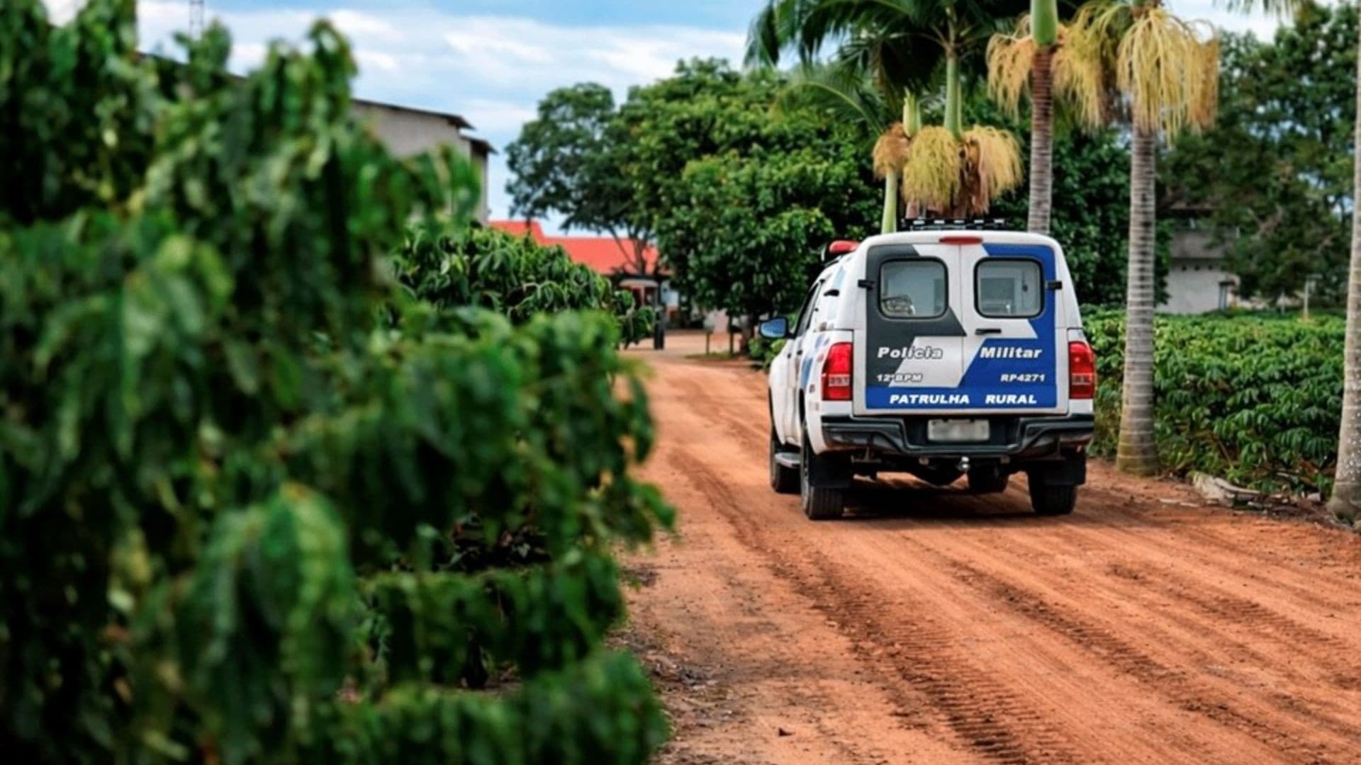 Insegurança no campo força produtores a mudarem rotina durante safra no Espírito Santo