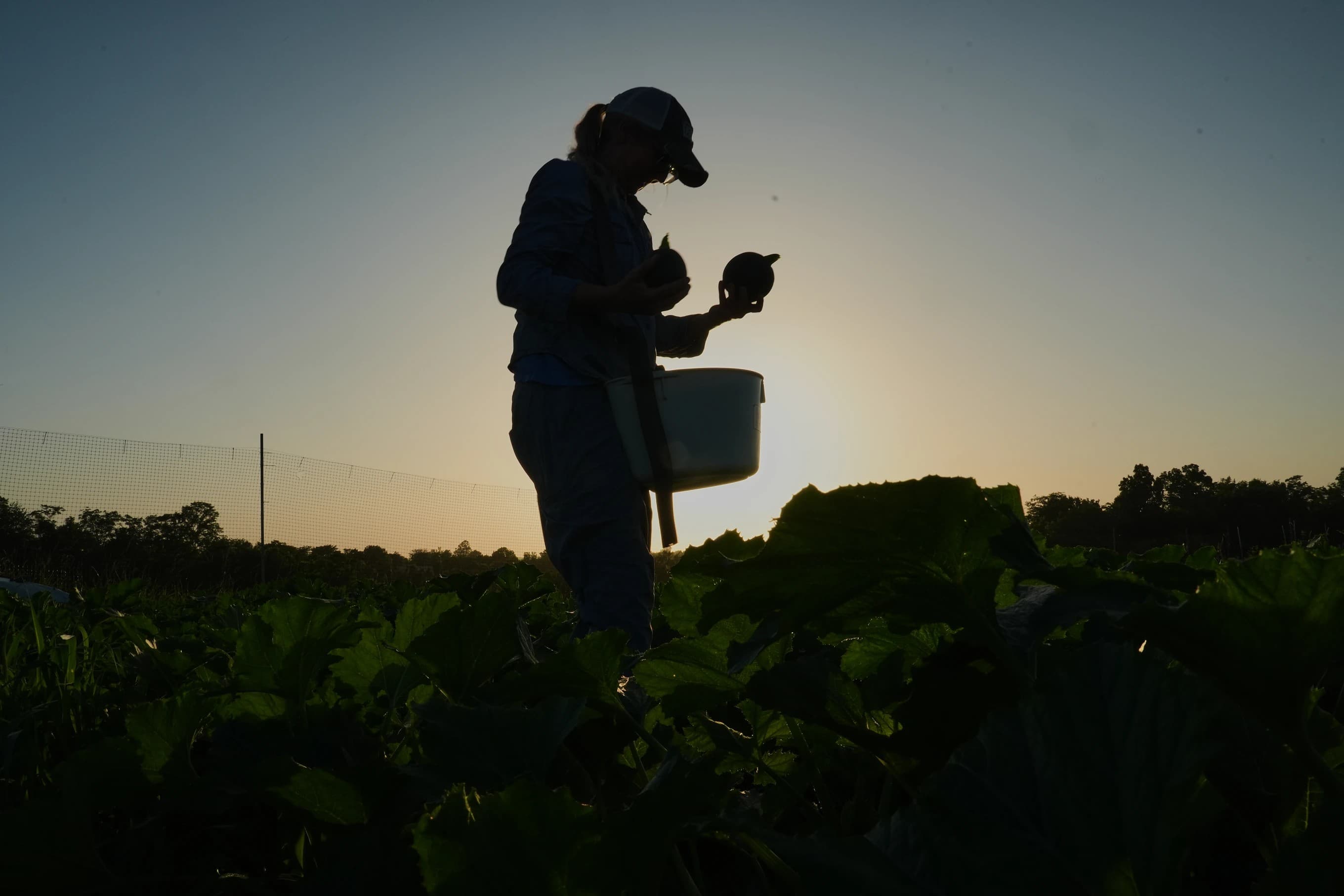 Mudanças climáticas impõem desafios críticos para pequenos produtores rurais nos EUA