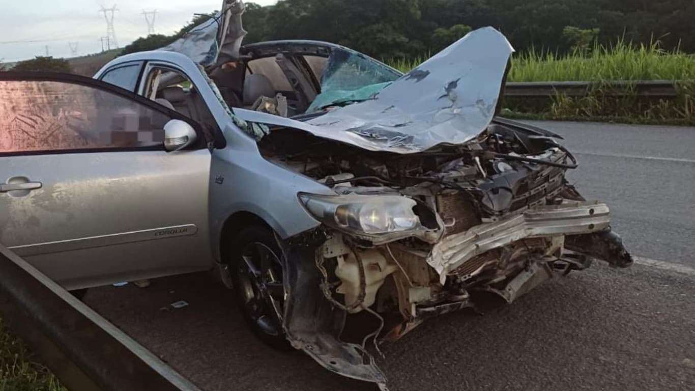 Tragédia na BR-101: Passageiro morre após colisão de carro contra cavalo em Palmares