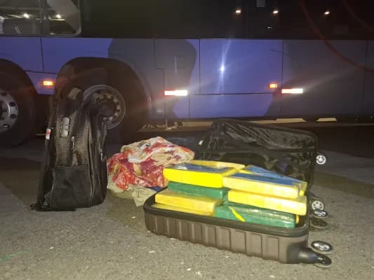Equipes do Bepi e do Denarc apreendem quase 20 quilos de cocaína em rodovia de Petrolina